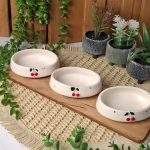 اردوخوری ۳پیاله آلبالو
