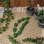 هولدر گیاه و سیم
