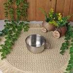 فنجان نقره‌ای
